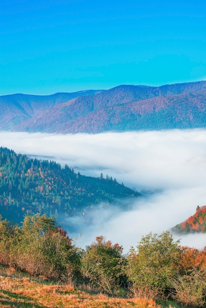 Vue de la vallée de montagne pittoresque avec un ciel bleu sur fond.