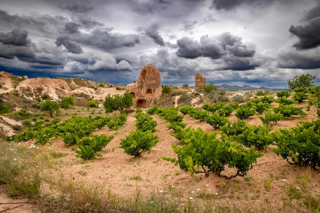 Vue sur la vallée rouge en turquie avec ciel nuageux et bâtiment sculpté