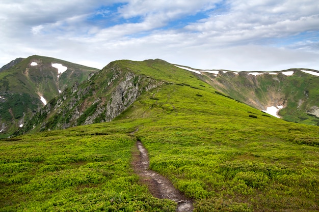 Vue d'une vallée verte recouverte d'herbe