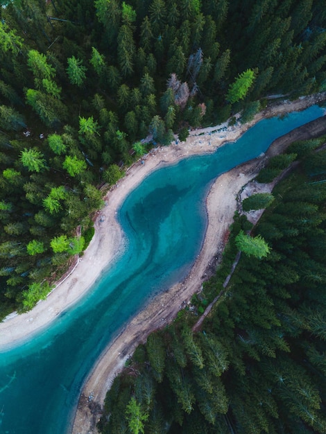 Vue verticale du haut d'une belle rivière glaciaire entourée d'arbres à feuilles persistantes en Italie