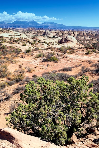 Vue verticale du parc national des Arches, Utah