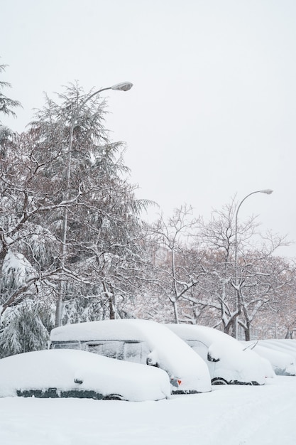 Vue verticale voiture garée sous la neige dans la rue.