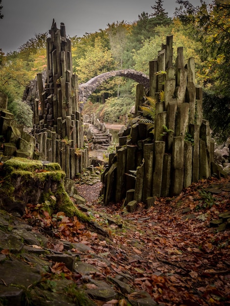 Photo vue d'une vieille ruine dans la forêt