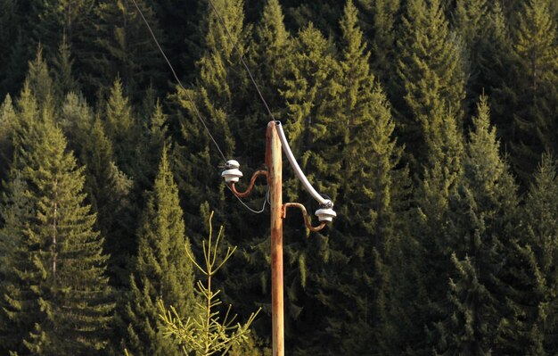 Vue d'un vieux poteau électrique dans la montagne