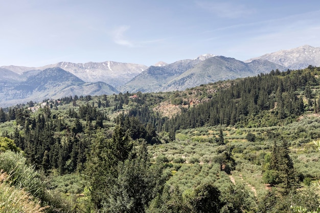 Vue sur les vignes et les oliveraies de la campagne dans les montagnes Grèce Crète