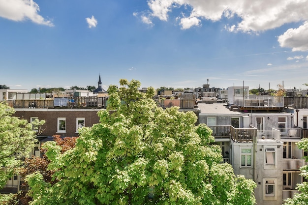 La vue sur la ville depuis une terrasse sur le toit