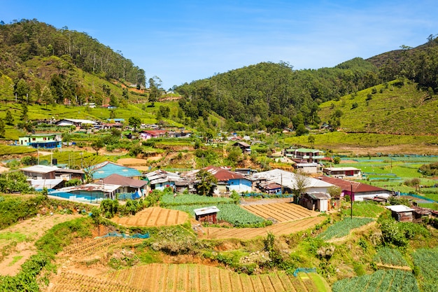 Vue sur la ville de Nuwara Eliya