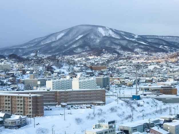 Vue Sur La Ville D'otaru, Hokkaido, Japon