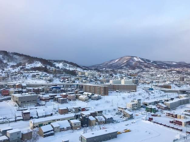 Vue Sur La Ville D'otaru