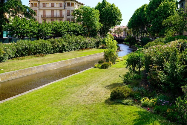 Vue de la ville de Perpignan du canal de la rivière dans le centre-ville avec une rive d'herbe fleurie Catalogne France