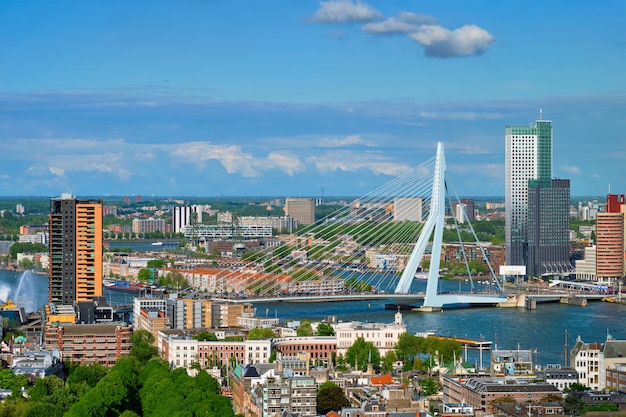 Vue de la ville de Rotterdam et du pont Erasmus