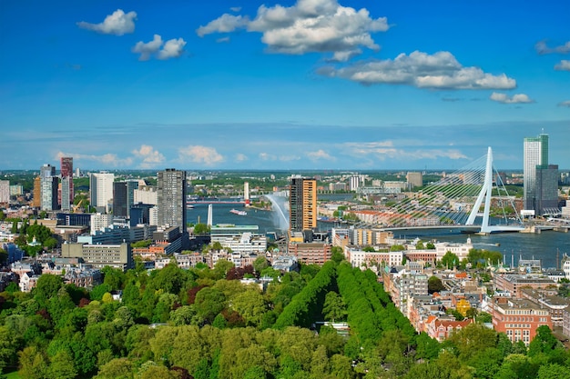 Photo vue de la ville de rotterdam et du pont erasmus