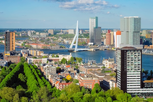 Vue de la ville de Rotterdam et du pont Erasmus