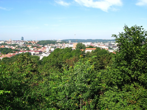 La vue de la ville de Vilnius en Lituanie