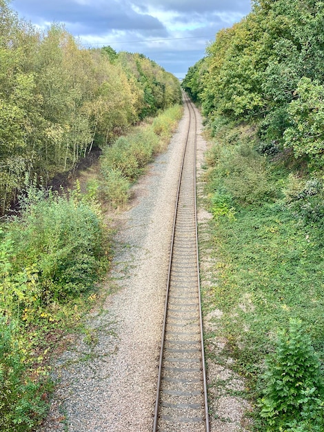 Photo vue de la voie ferrée au milieu des arbres