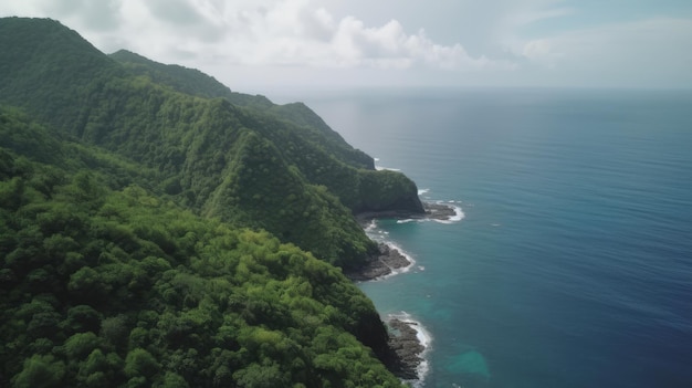 Une vue à vol d'oiseau d'une montagne avec une forêt verte et un océan bleu