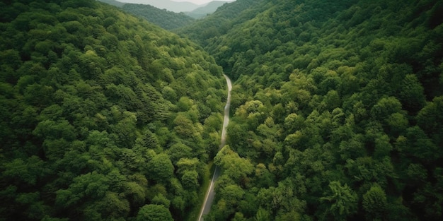 Vue à vol d'oiseau de la route au milieu de la forêtVue aérienne Prise de vue panoramique AI générative