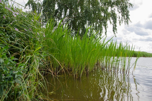 vue sur la Volga depuis le rivage