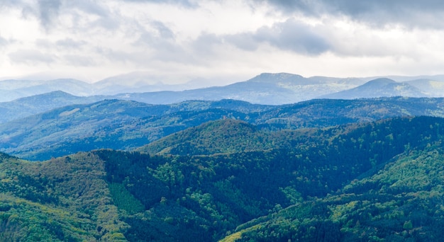 Vue sur les Vosges en Alsace