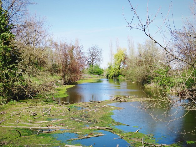 Vue de la zone humide