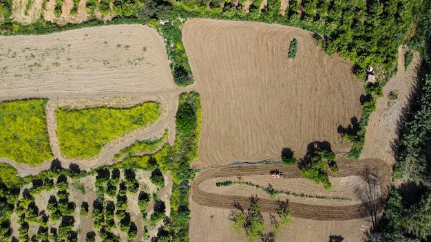 Vues aériennes des champs cultivés