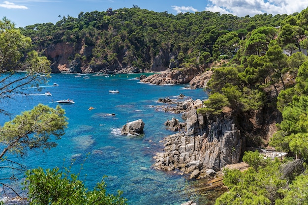 Vues De La Côte à Punta Forcats Avec Des Bateaux Et Des Gens Dans L'eau, Calella De Palafrugell.