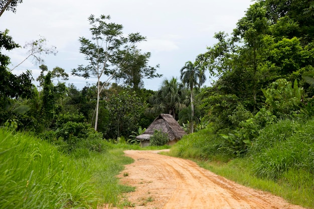 Vues depuis les rues et les maisons d'une ville de la région amazonienne au Pérou près de la ville de Yurimaguas