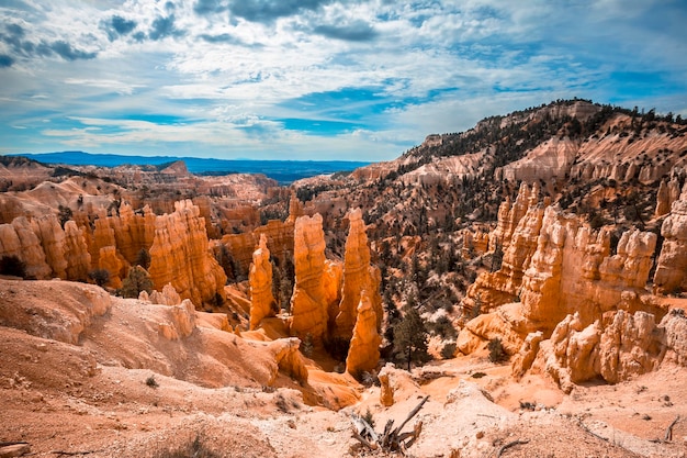 Vues depuis le Sunrise Point dans le parc national de Bryce Utah United States