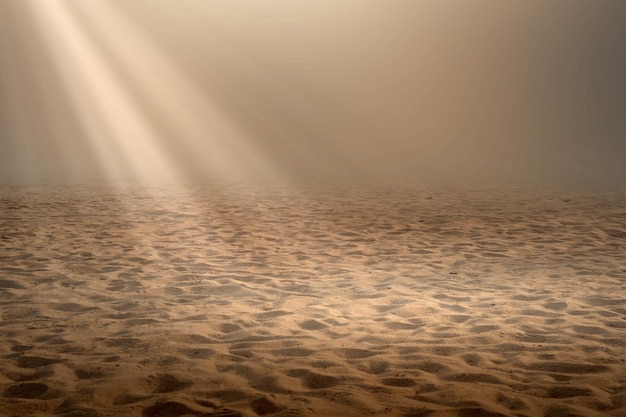 Vues de la dune de sable avec fond de lumière du soleil