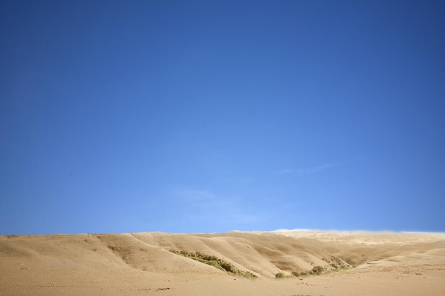 Vues de dunes de sable avec un fond de ciel bleu