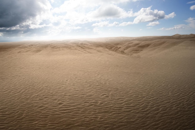 Vues de dunes de sable