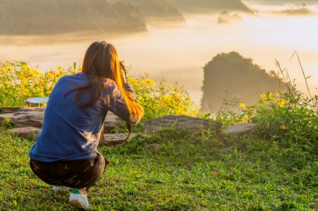 Vues de montagne et de fleurs du parc national de Phu Langka, Thaïlande