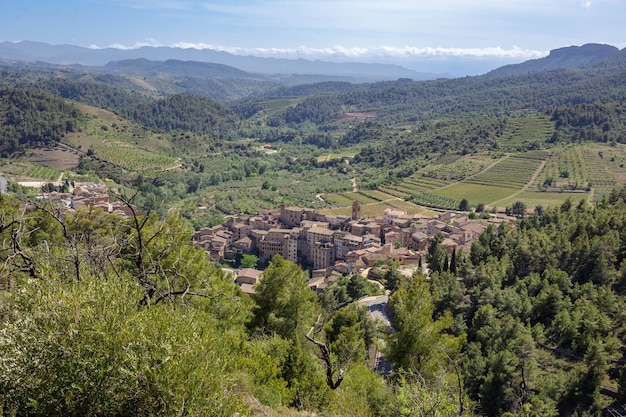 Photo vues d'oliviers entourant vilella baixa village de priorat catalogne espagne