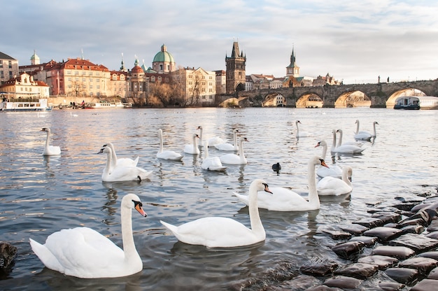 vues urbaines de la ville de Prague en hiver