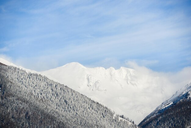 Vues de la ville de Liptovsky Mikulas à West Tatras en hiver avec des arbres enneigés et un ciel nuageux.