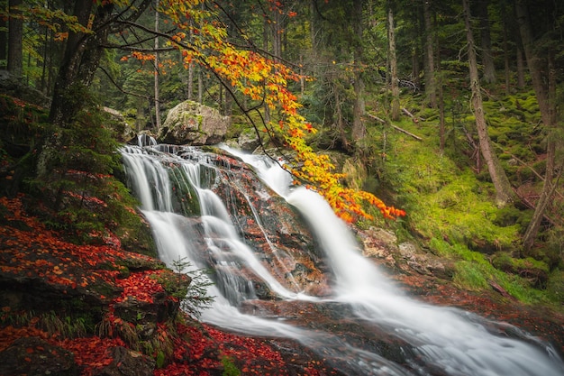 Wanderung Rieslochfalle Wasserfalle im Bayerischen Wald près de Bodenmais