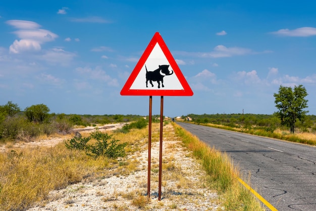 Warthogs crossing panneau routier d'avertissement placé le long d'une route en Namibie