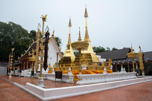 Photo wat phra that doi tung sur la montagne dans la province de chiang rai au nord de la thaïlande