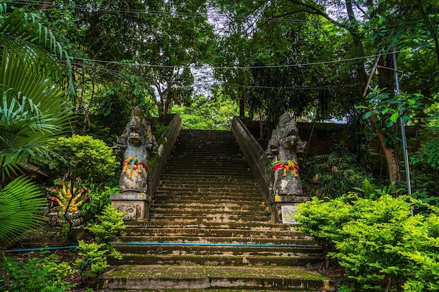 Wat Umong Suan Puthatham est un temple bouddhiste dans le centre historique et est un temple bouddhiste est une attraction touristique majeure avec la nature de la forêt verte à Chiang MaiThailand