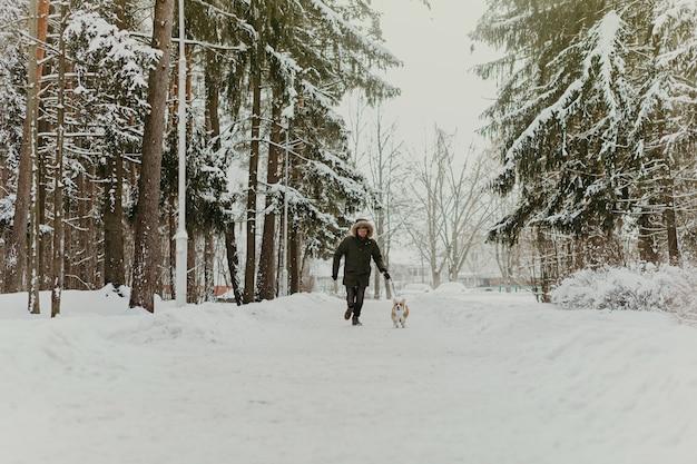 Welsh corgi pembroke dog walking gentiment en laisse avec un propriétaire lors d'une promenade dans le parc d'hiver