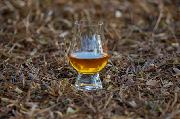 Whiskey écossais traditionnel à single malt dans le verre Glencairn en concentration sélective