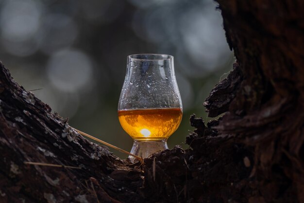 Whisky écossais traditionnel single malt dans le verre Glencairn en mise au point sélective