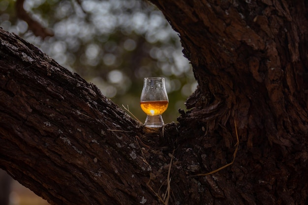 Whisky écossais traditionnel single malt dans le verre Glencairn en mise au point sélective