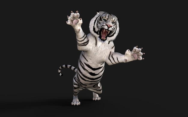 White Tiger Albino isolé sur fond sombre avec un tracé de détourage Illustration 3d