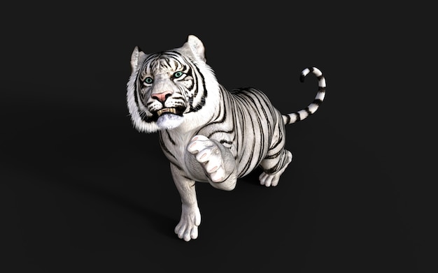 White Tiger Albino isolé sur fond sombre avec un tracé de détourage Illustration 3d