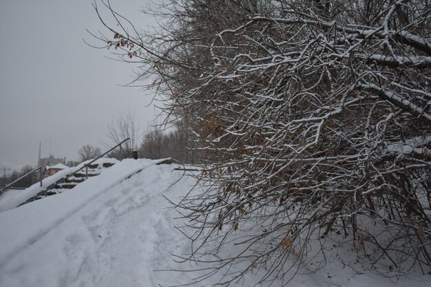 Winter Street City dans la neige