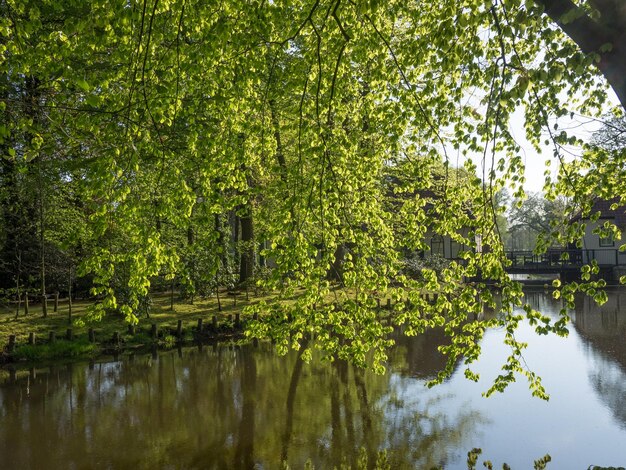 Photo winterswijk aux pays-bas