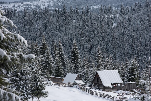 Woderland d'hiver avec chalet