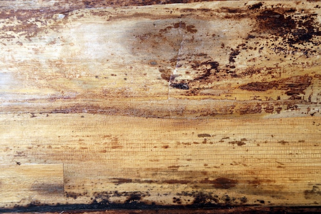 Wooden texture fond