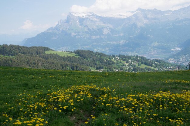 XAPaysage des Alpes françaises